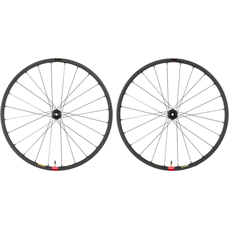 Reserve Wheels Reserve 25 GR Wheelset - 700 12 x 100/12 x 142 Center-Lock XDR Carbon DT 350