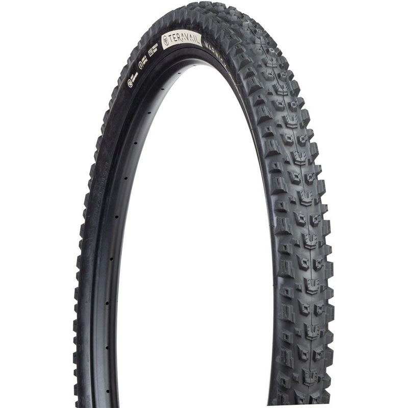 Teravail Warwick Tire - 29 x 2.3 Tubeless Folding BLK Light Supple Fast Compound
